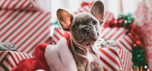 Une tasse de thé chaud sur un petit plateau